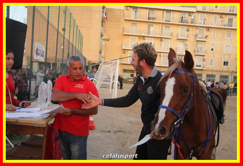 161106 equestre 112_tn.jpg